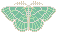 Solaria's Bug